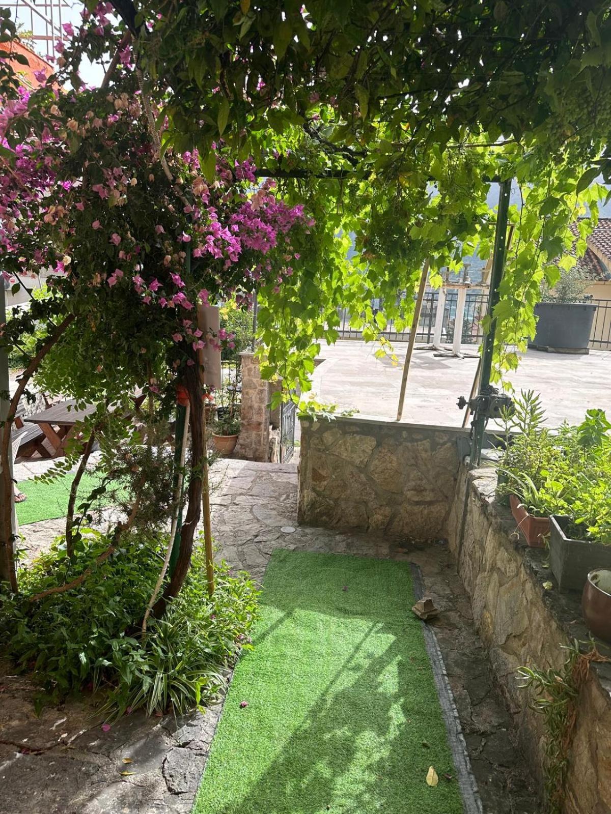 Themis Apart Hotel Kotor Exterior foto